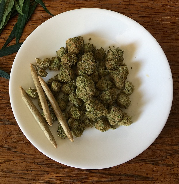 marijuana buds and joints