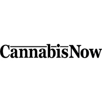 Cannabis Now