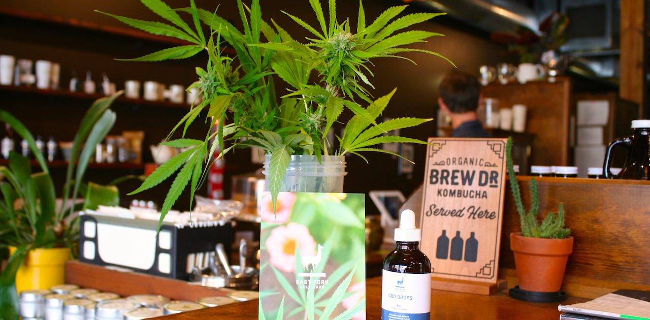 East Fork Cultivars CBD Available at Townshend's Tea Company