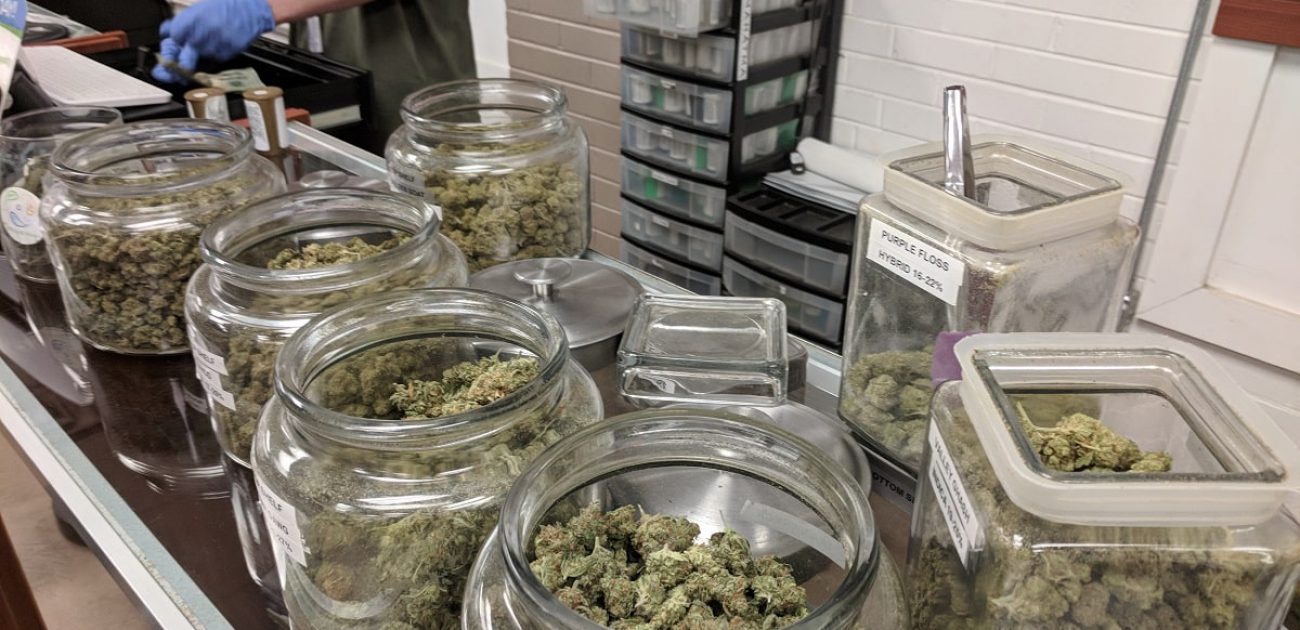 cannabis dispensary employee budtender