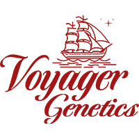 Voyager Genetics