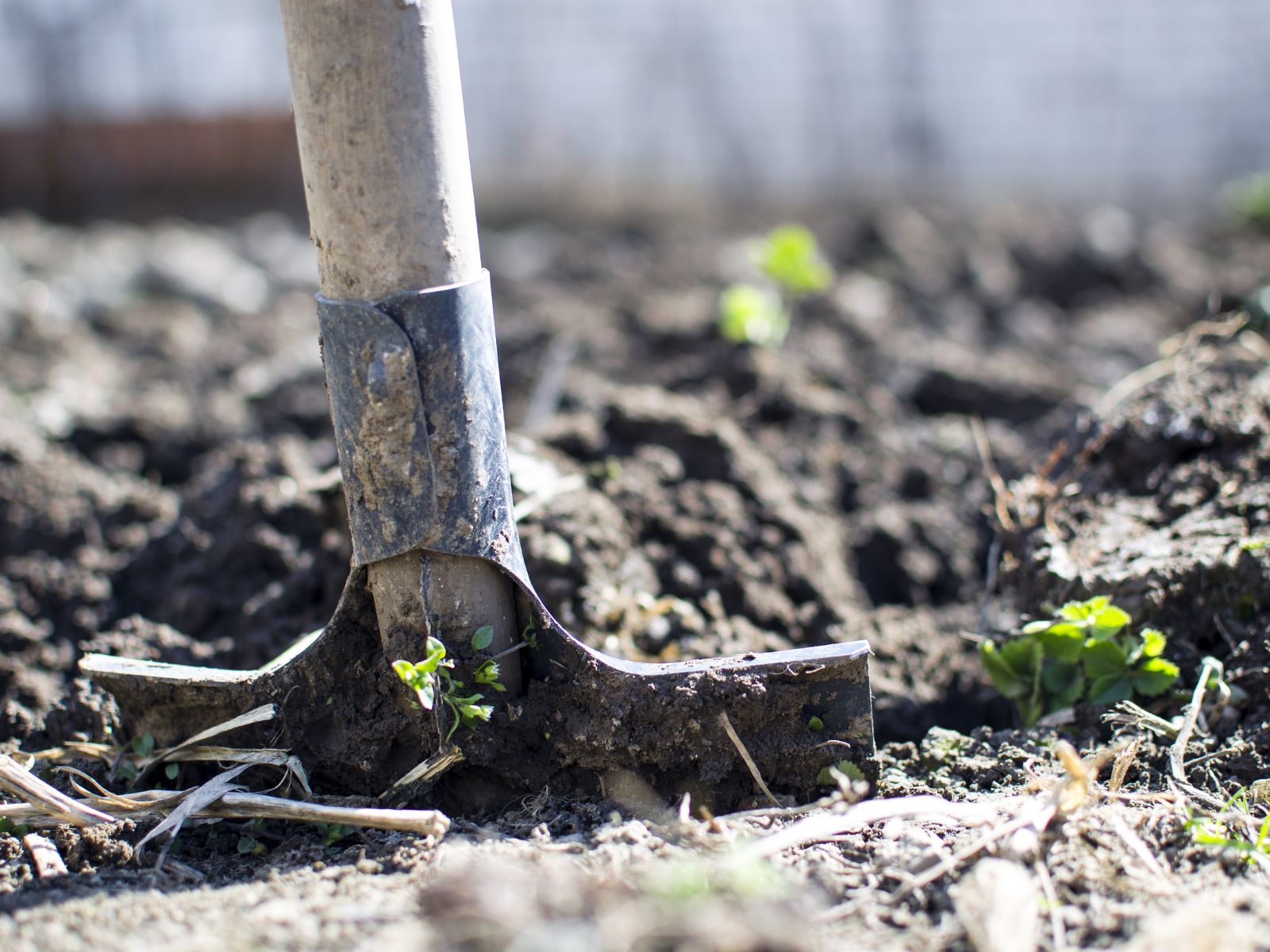 digging shovel